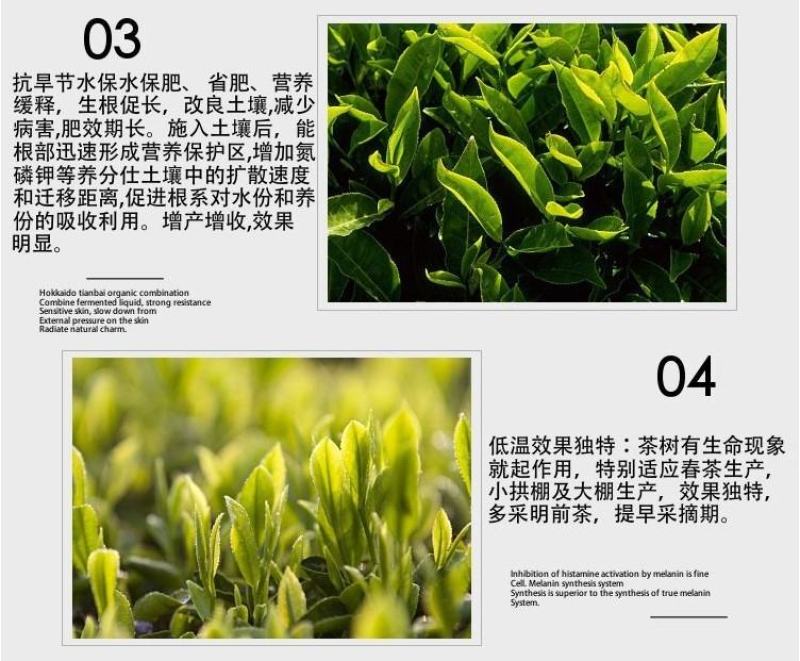 茶叶催芽增厚素催芽920出芽多抗寒嫩芽茶树叶面肥增产