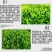 茶叶催芽增厚素催芽920出芽多抗寒嫩芽茶树叶面肥增产