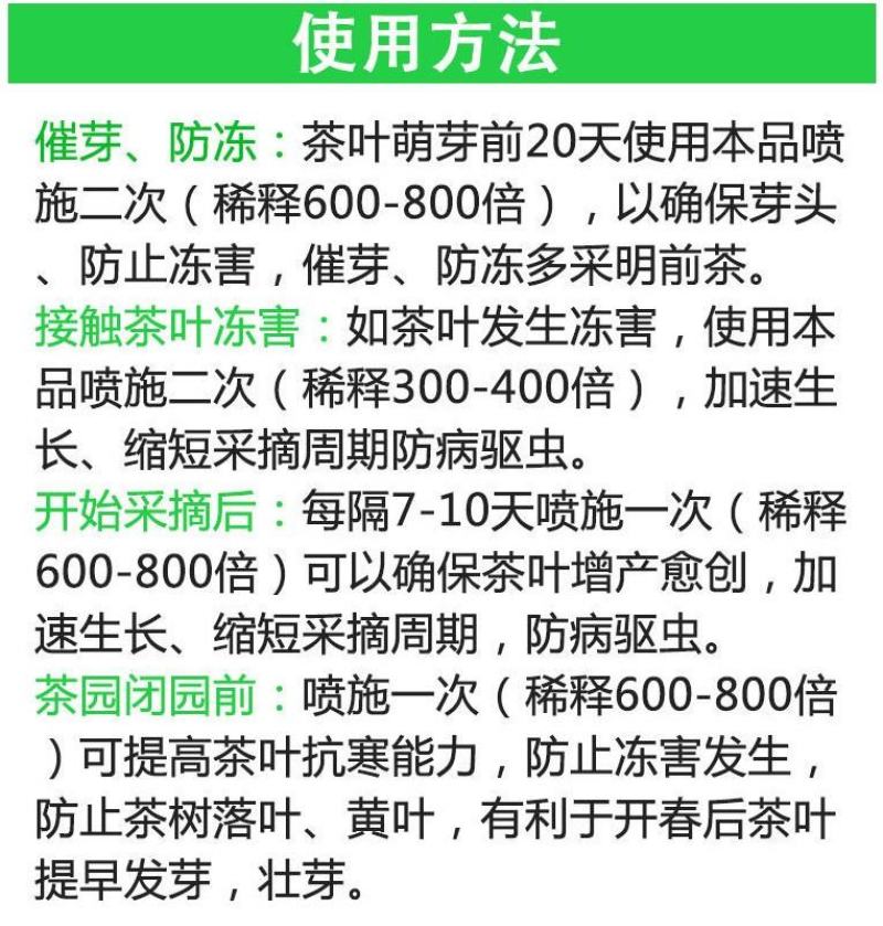 茶叶催芽增厚素催芽920出芽多抗寒嫩芽茶树叶面肥增产