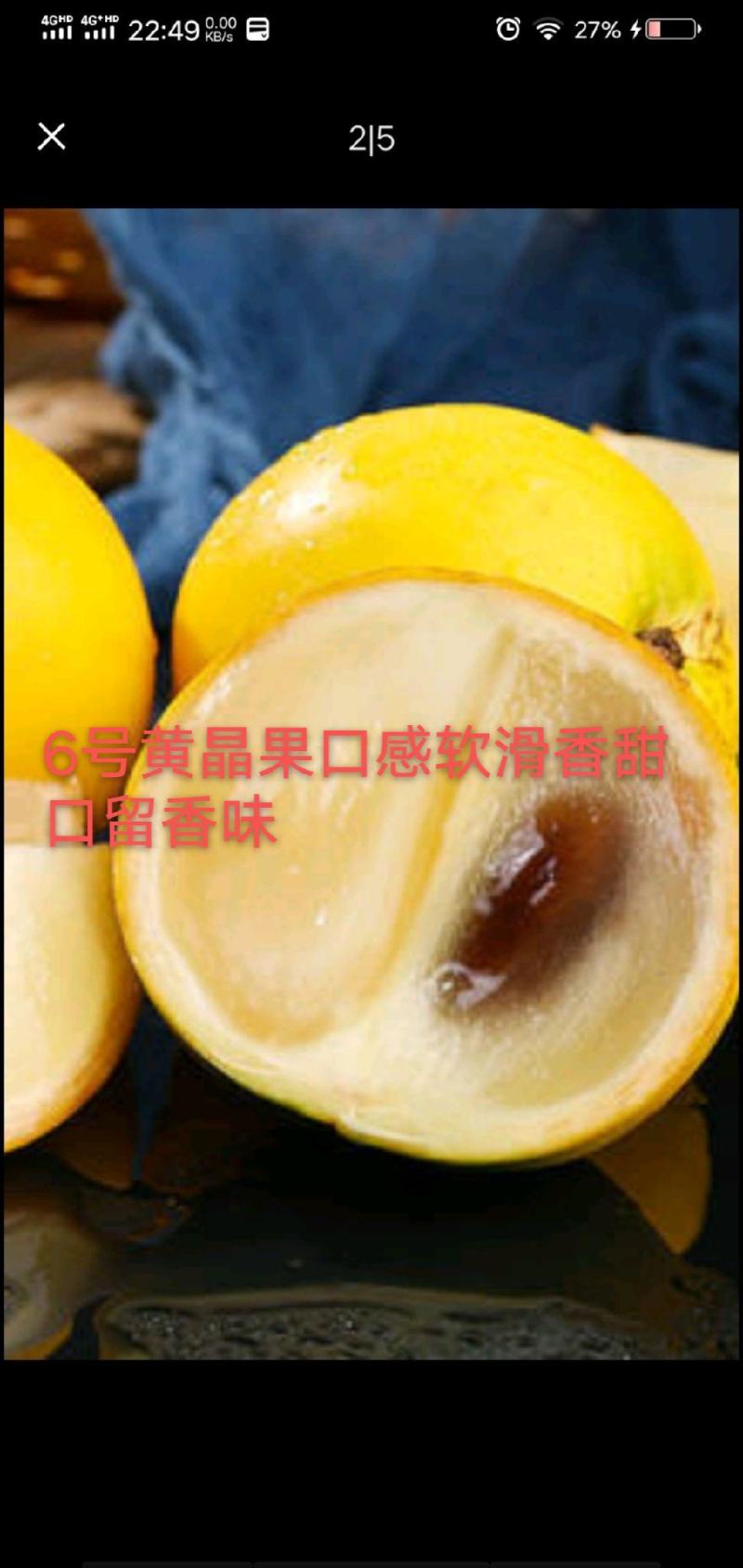 6号黄晶果