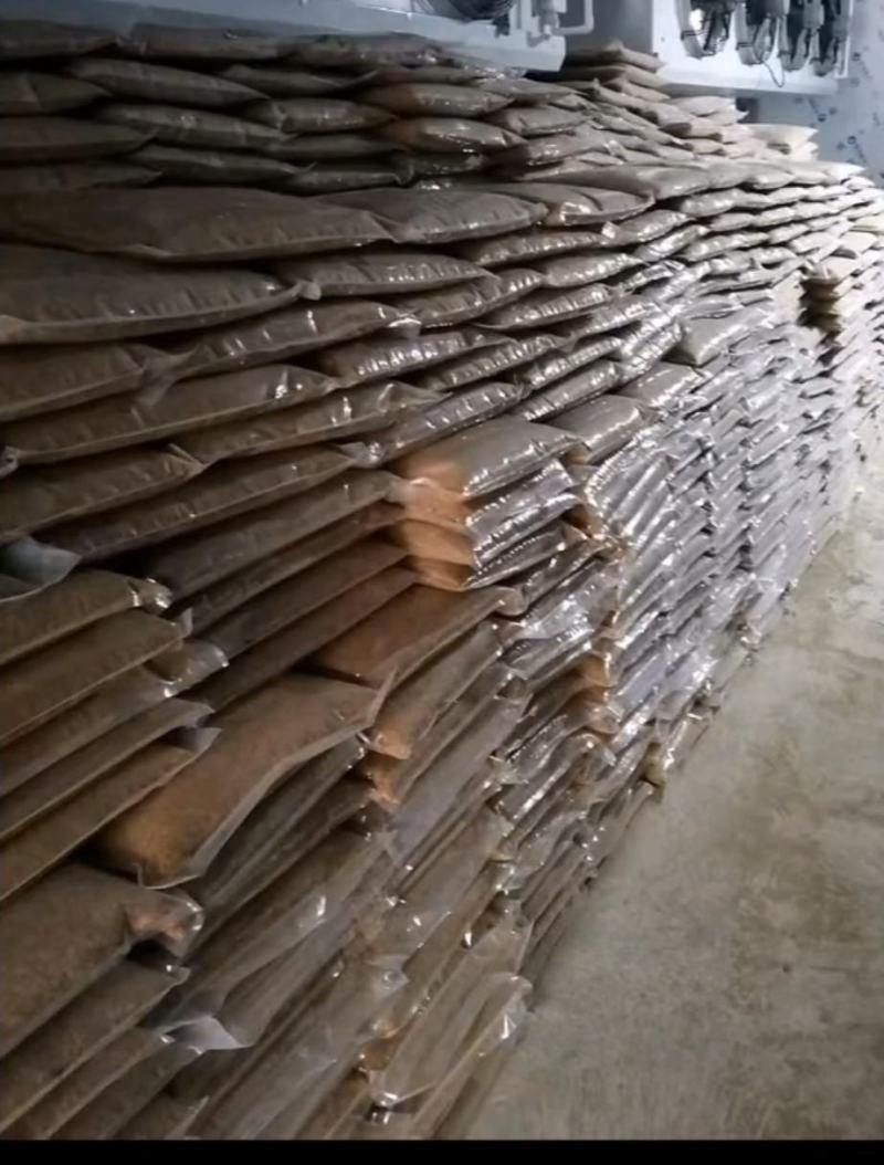 蝇蛆品质保证可视频看货家禽水产宠物高蛋白饲料虫