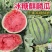 8424西瓜，冰糖麒麟西瓜，夏邑西瓜产地实力代办欢迎采