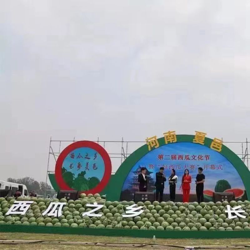 8424西瓜，冰糖麒麟西瓜，夏邑西瓜产地实力代办欢迎采