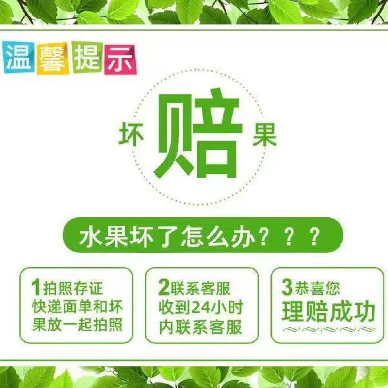 8424西瓜，冰糖麒麟西瓜，夏邑西瓜产地实力代办欢迎采