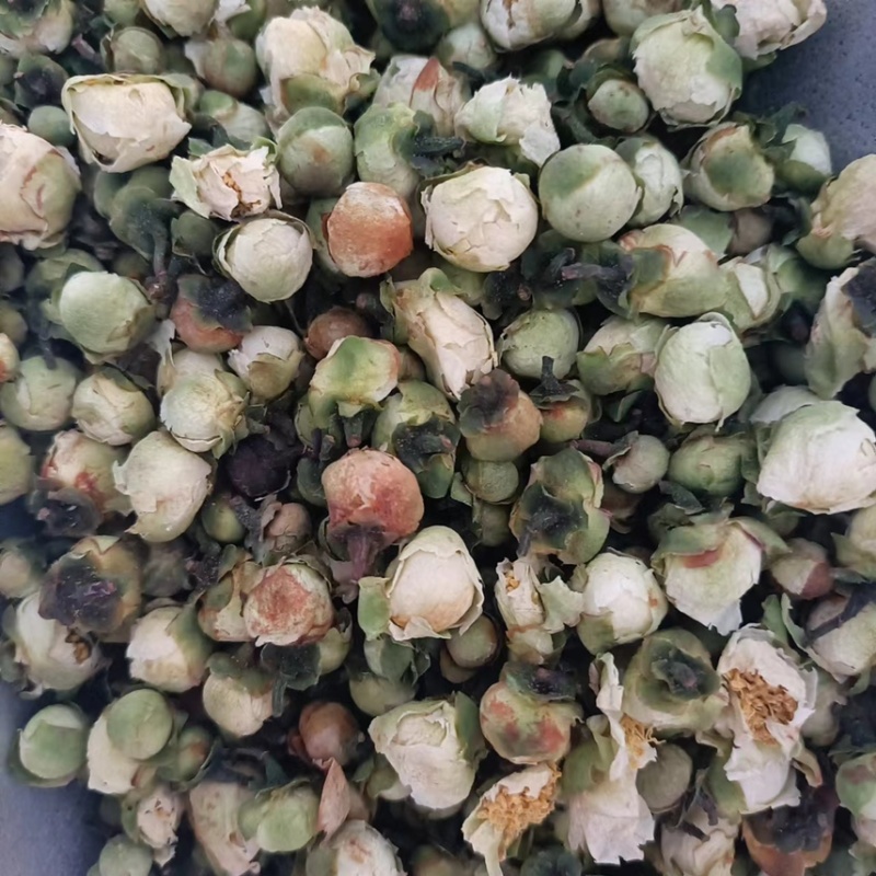 【药用山茶花】山茶花基地直供全国包邮