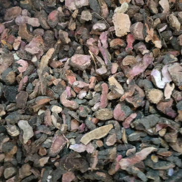 【推荐】紫参草河车药用草河车全国包邮