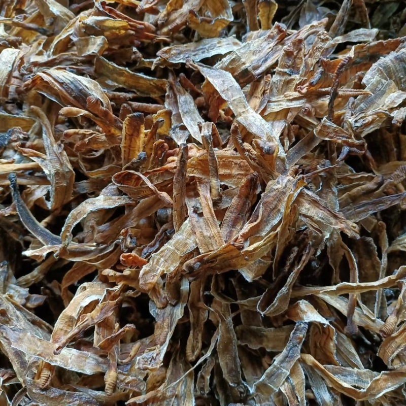 【推荐】蚯蚓干地龙干；药用蚯蚓价格美丽