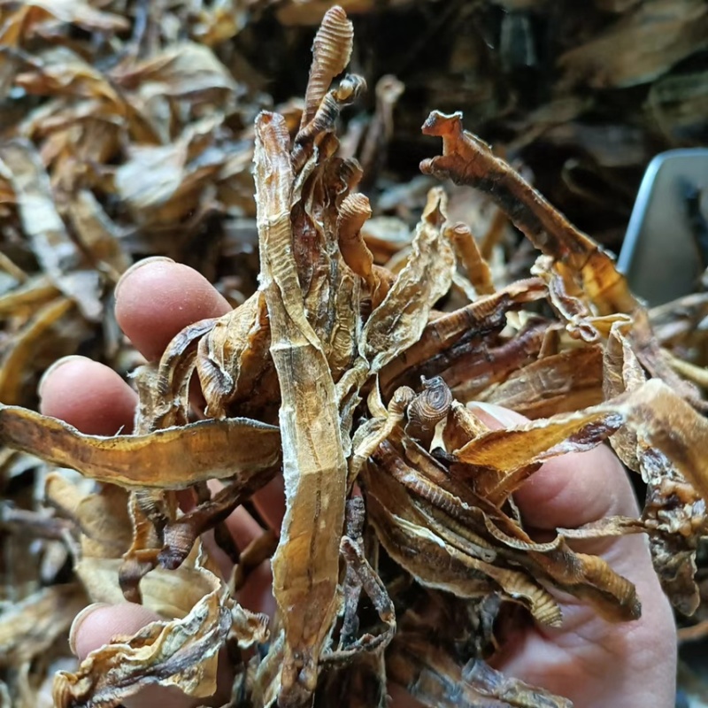 【推荐】蚯蚓干地龙干；药用蚯蚓价格美丽