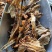 【推荐】蚯蚓干地龙干；药用蚯蚓价格美丽