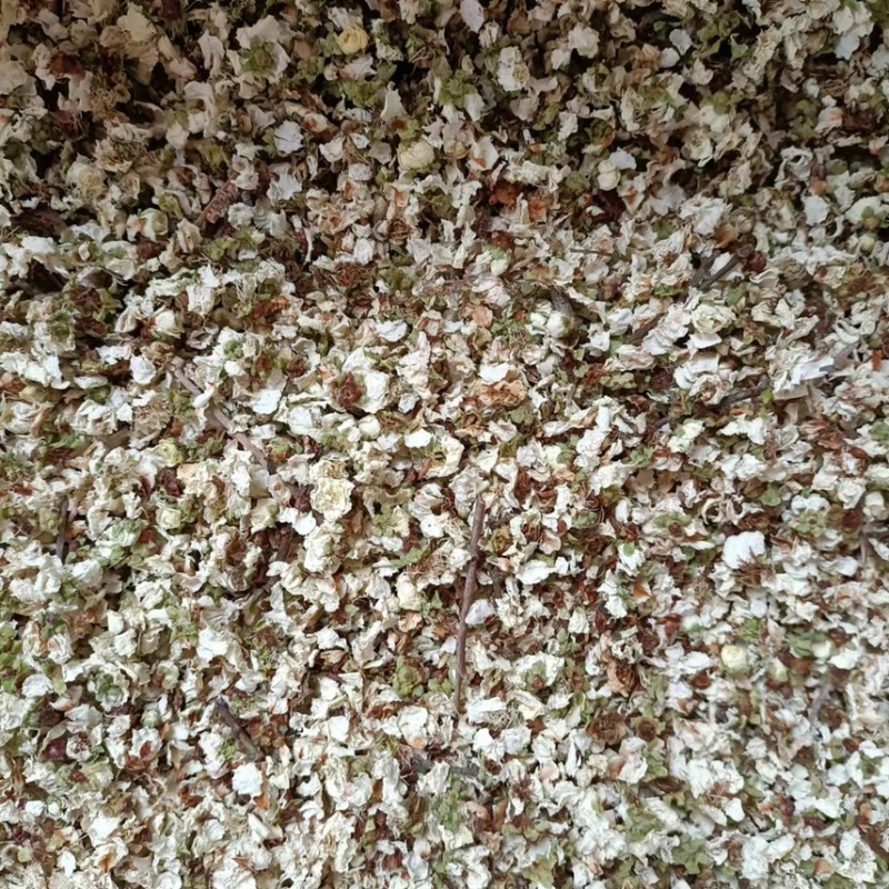 【基地直供】中药材药用绿梅花干花全国包邮