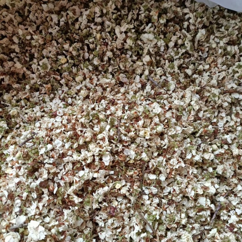 【基地直供】中药材药用绿梅花干花全国包邮