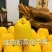 脱毒维纳斯黄金苹果苗山东苹果苗苗圃育苗多年老店诚信保障