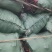 木炭，缅甸进口木炭