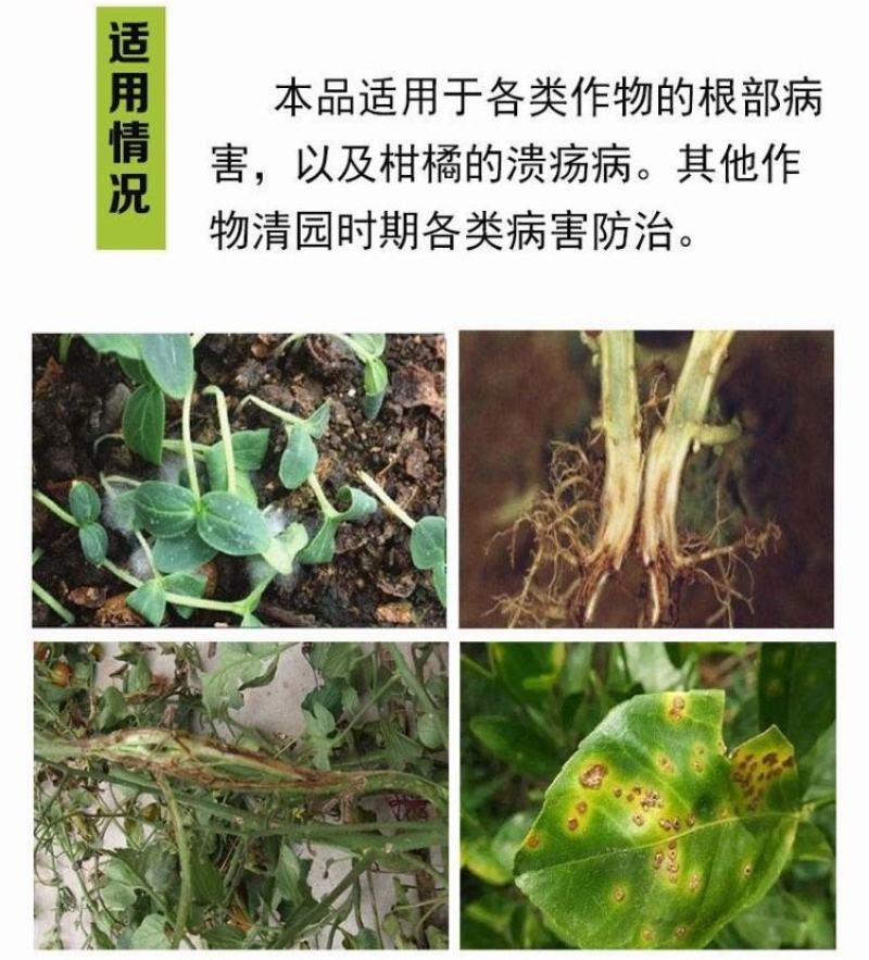 地菌20%乙酸铜苗期猝倒病立枯病根腐病土壤消毒杀菌剂