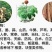 地下根茎膨大王块根块茎拉长膨果叶面肥红薯大姜冲施膨大素