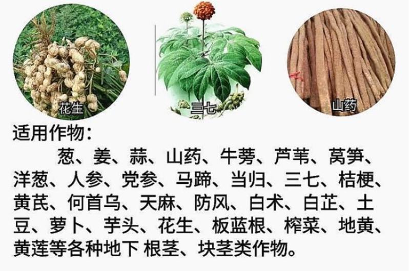 地下根茎膨大王块根块茎拉长膨果叶面肥红薯大姜冲施膨大素