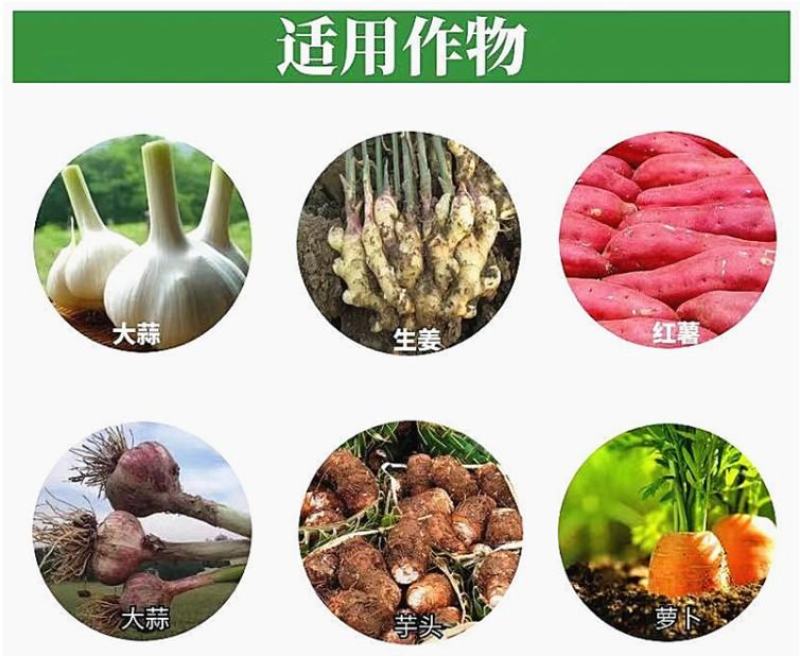 地下根茎膨大王块根块茎拉长膨果叶面肥红薯大姜冲施膨大素