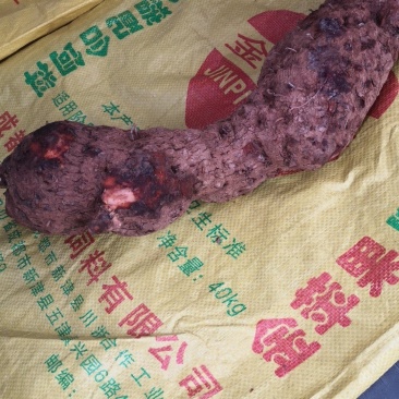 大量出售红土茯苓