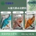 朵倍保高钾高磷氮磷钾平衡肥冲施肥大量元素水溶肥复合肥