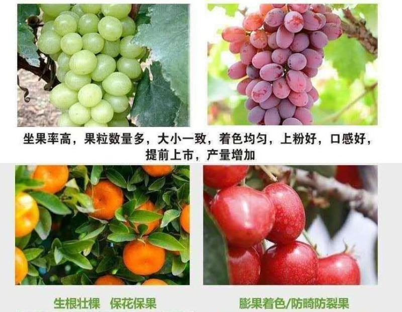 朵倍保高钾高磷氮磷钾平衡肥冲施肥大量元素水溶肥复合肥