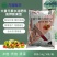 朵倍保高钾高磷氮磷钾平衡肥冲施肥大量元素水溶肥复合肥