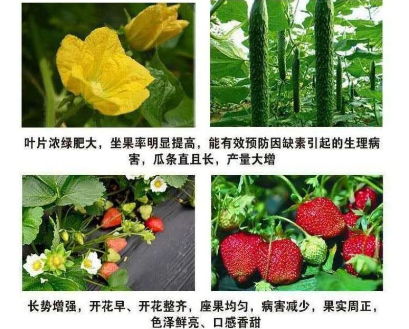朵倍保高钾高磷氮磷钾平衡肥冲施肥大量元素水溶肥复合肥