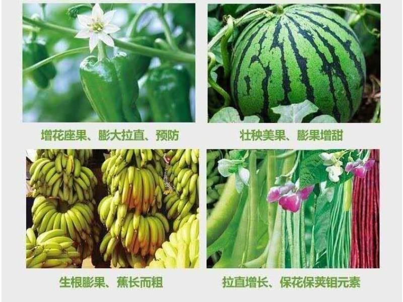 朵倍保高钾高磷氮磷钾平衡肥冲施肥大量元素水溶肥复合肥