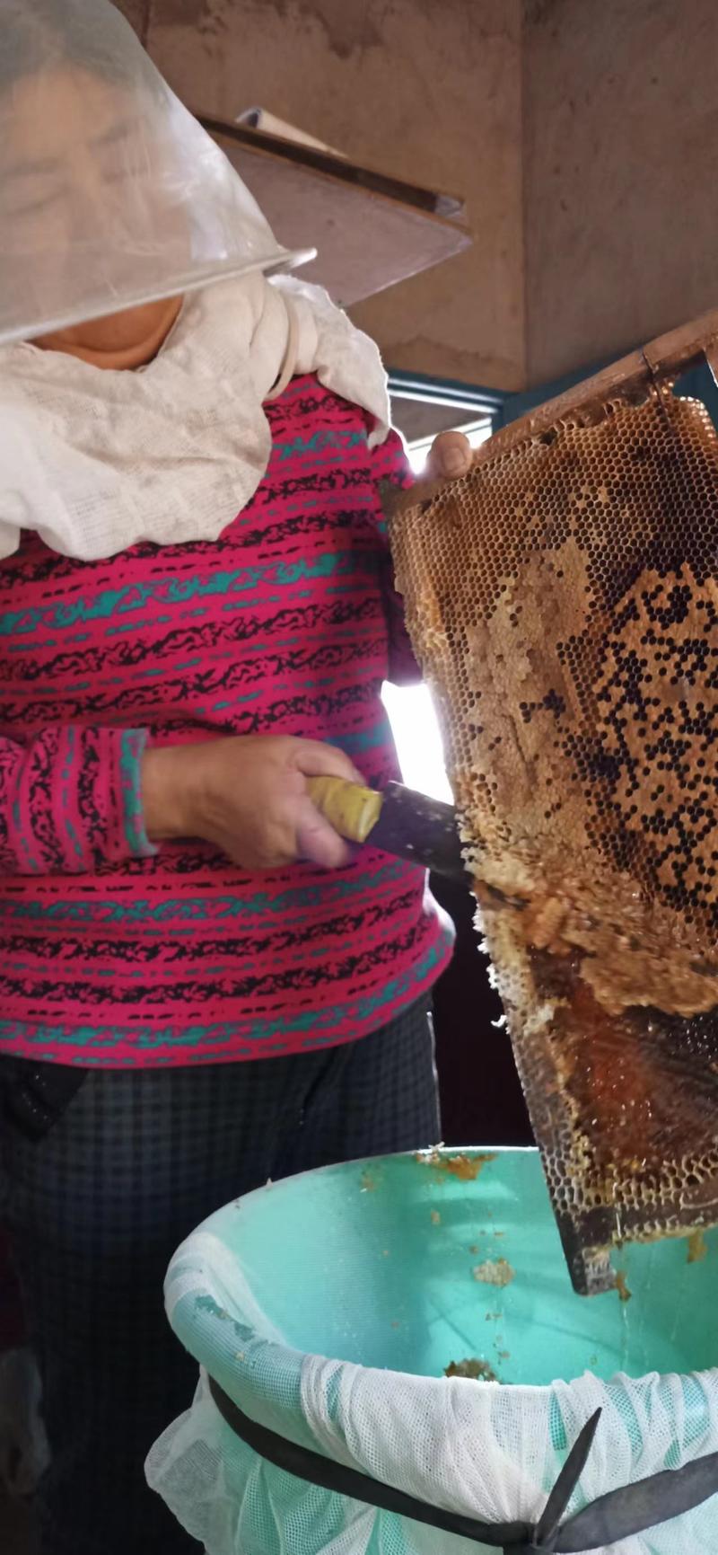 正宗土蜂蜜汉源土蜂蜜大量现货供应价格可谈保质保量