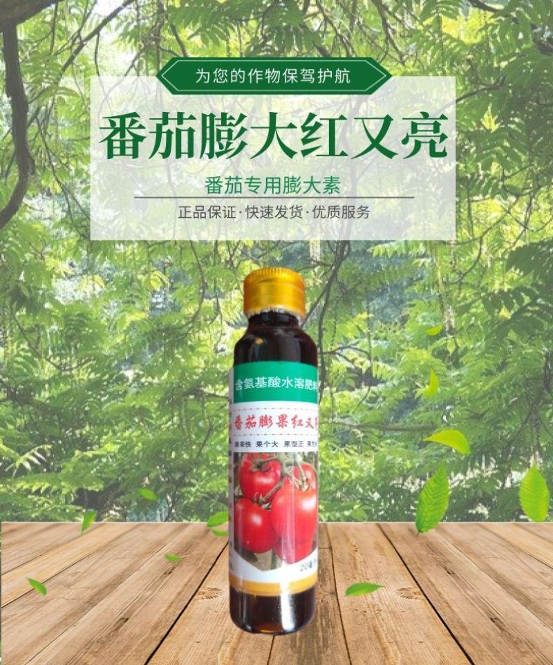 番茄膨大红又亮番茄专用膨大素膨果亮果快速上色叶面肥