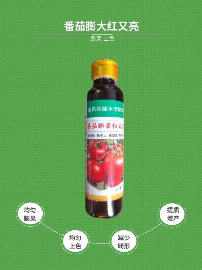 番茄膨大红又亮番茄专用膨大素膨果亮果快速上色叶面肥