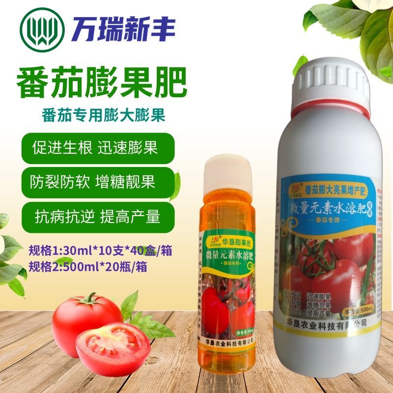 番茄膨大靓果增产肥番茄膨大素着色上色膨果肥冲施肥