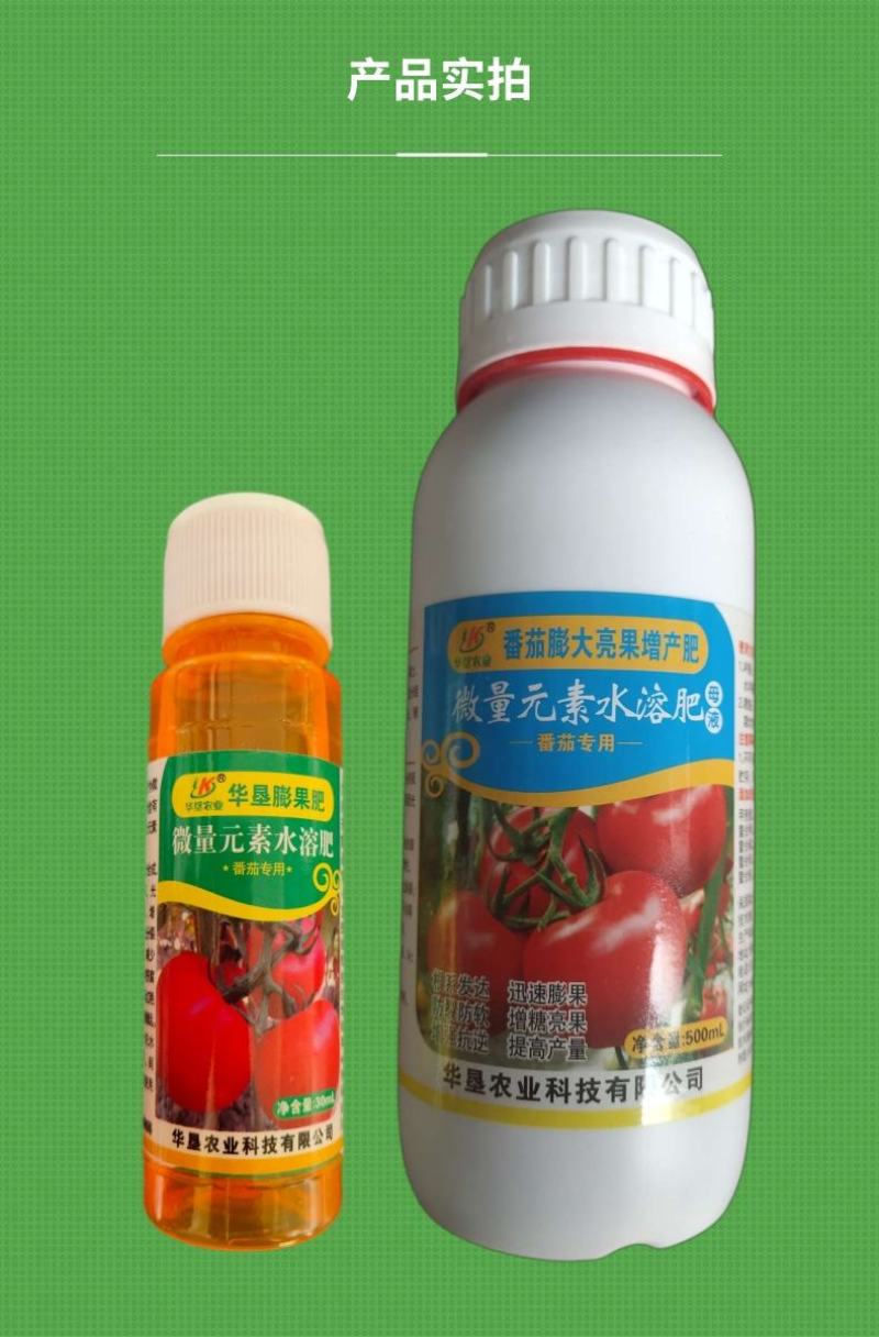 番茄膨大靓果增产肥番茄膨大素着色上色膨果肥冲施肥