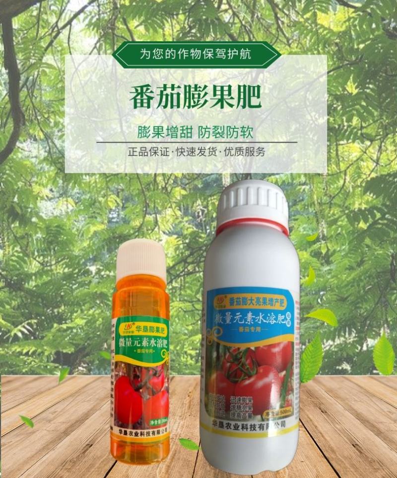番茄膨大靓果增产肥番茄膨大素着色上色膨果肥冲施肥