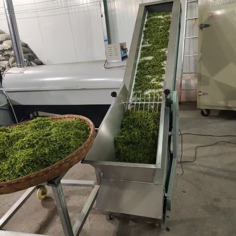 陕西安康富硒绿茶