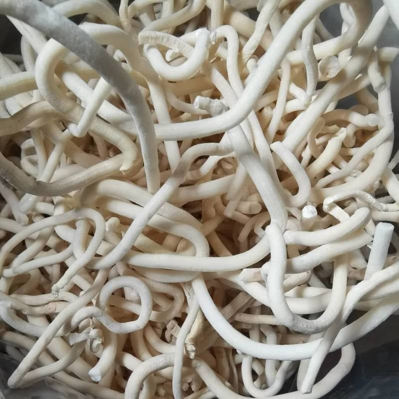 通草小通草1000克货干中药材批发供应各种中药材
