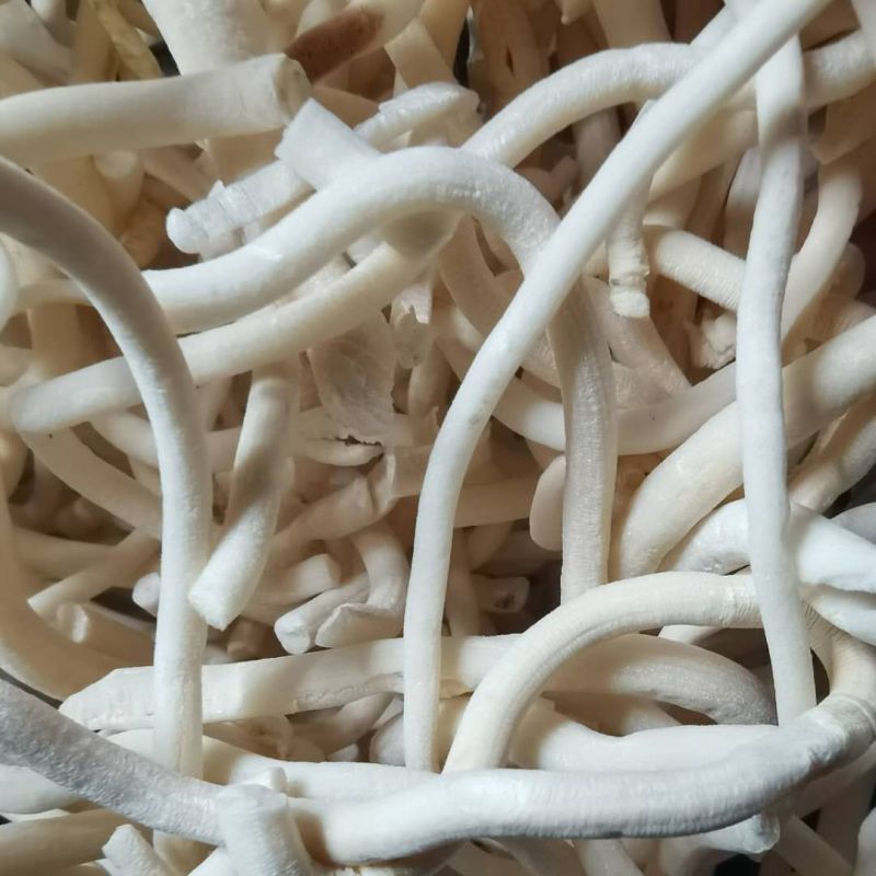 通草小通草1000克货干中药材批发供应各种中药材