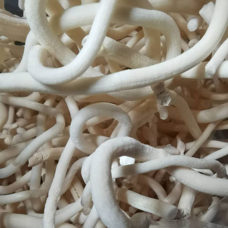 通草小通草1000克货干中药材批发供应各种中药材