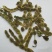 槐角槐角1000克规格齐全现货供应各种中药材