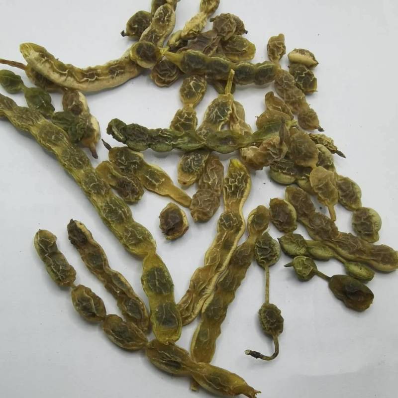 槐角槐角1000克规格齐全现货供应各种中药材