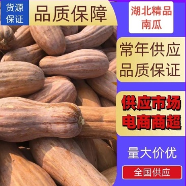 湖北金韩蜜本南瓜食堂全黄老南瓜工厂养殖电商超市南瓜