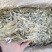 尖头小银鱼微甜淡晒银鱼仔