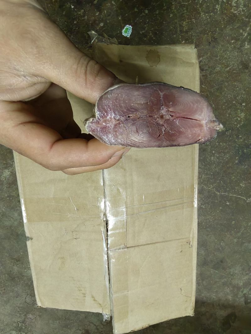 梅香血鱼咸香净肉腌制咸鱼海鱼海产海货咸鱼茄子煲梅香