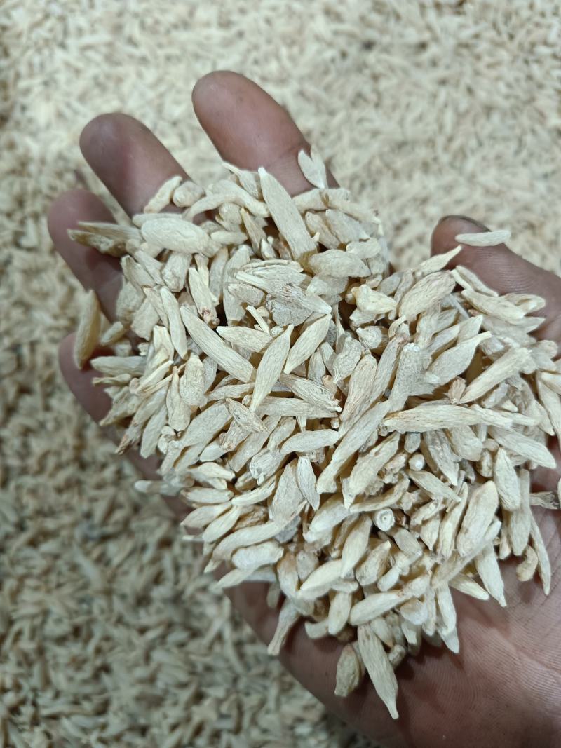 2023年新货麦冬！产地农户出品！地道涪城麦冬，现挖现炕