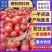 【实力】硬粉沙瓤西红柿量大，串果，诚信为本，价格准确