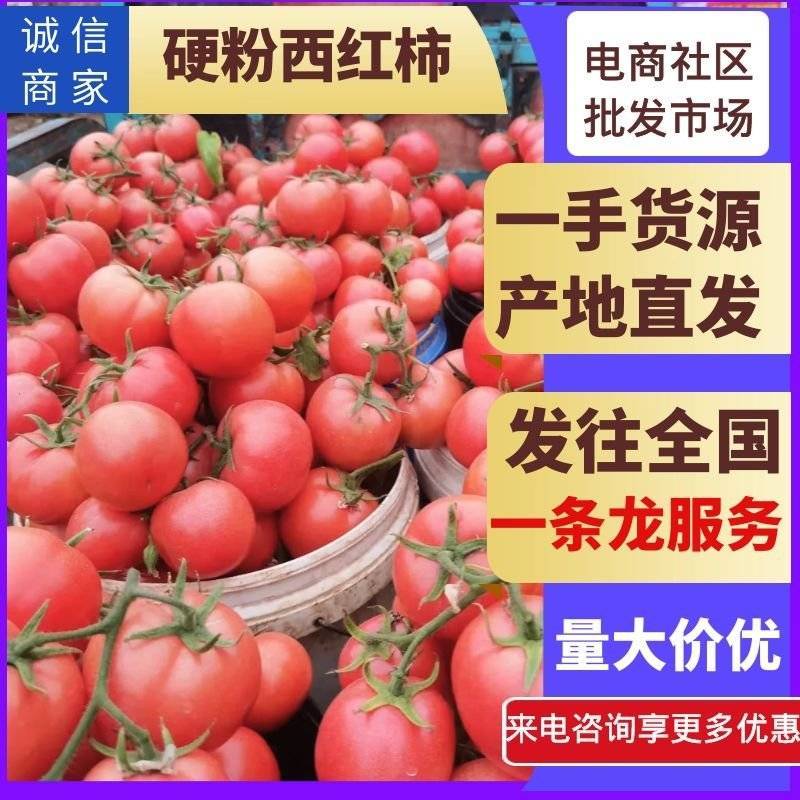 【实力】硬粉沙瓤西红柿量大，串果，诚信为本，价格准确
