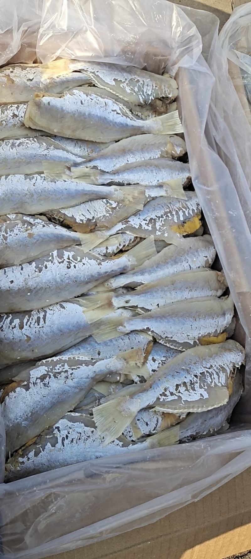 麦香鱼，都是肉的一款咸鱼，没有任何乱刺，薄利多销