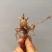 虎杖苗,万亩基地直发,种植包回收,驯化虎杖苗
