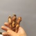 虎杖苗,万亩基地直发,种植包回收,驯化虎杖苗