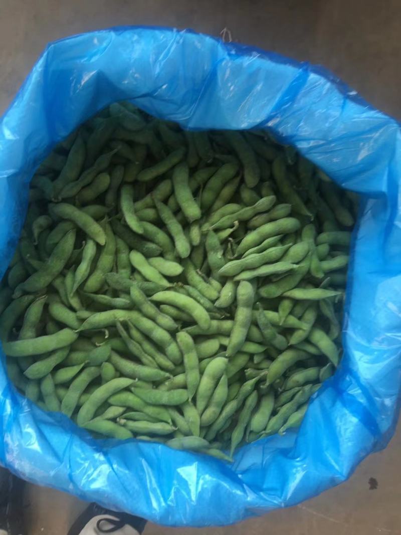 2月11号卖翠绿宝毛豆，40斤净，饱满，包绿，价格便宜