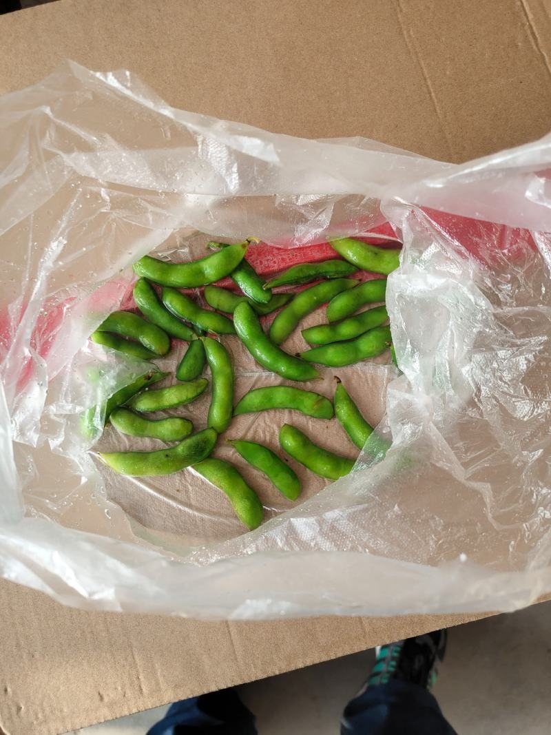 2月11号卖翠绿宝毛豆，40斤净，饱满，包绿，价格便宜